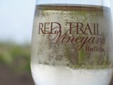 Red Trail Vineyard